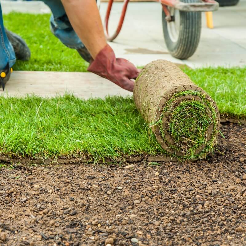 Turfing - Laying Turf