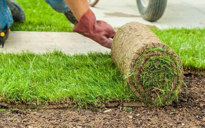 Turfing Laying Turf Cropped